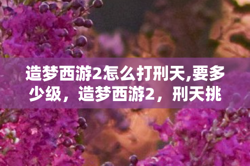 造梦西游2怎么打刑天,要多少级，造梦西游2，刑天挑战攻略