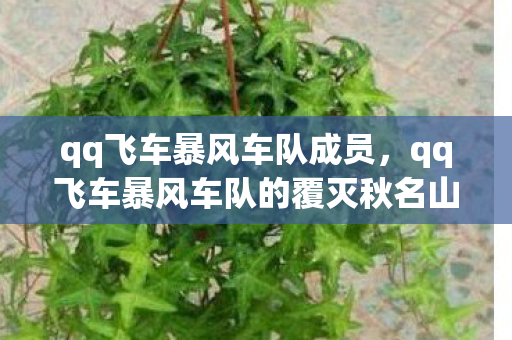 qq飞车暴风车队成员,qq飞车暴风车队的覆灭秋名山 qq飞车暴风车队成员,qq飞车暴风车队的覆灭秋名山