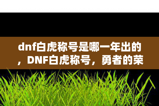 dnf白虎称号是哪一年出的,DNF白虎称号,勇者的荣耀象征 dnf白虎称号是哪一年出的,DNF白虎称号,勇者的荣耀象征