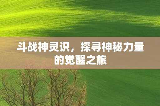 斗战神灵识，探寻神秘力量的觉醒之旅