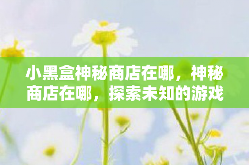 小黑盒神秘商店在哪，神秘商店在哪，探索未知的游戏宝藏
