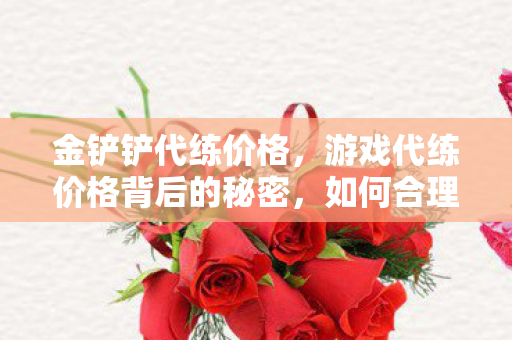 金铲铲代练价格，游戏代练价格背后的秘密，如何合理定价与选择服务