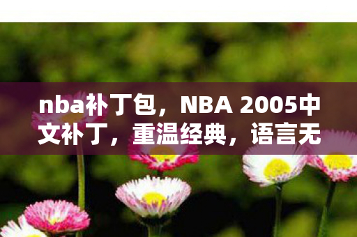 nba补丁包,NBA 2005中文补丁,重温经典,语言无界 nba补丁包,NBA 2005中文补丁,重温经典,语言无界