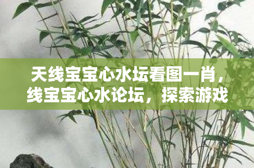 天线宝宝心水坛看图一肖，线宝宝心水论坛，探索游戏世界的无限可能