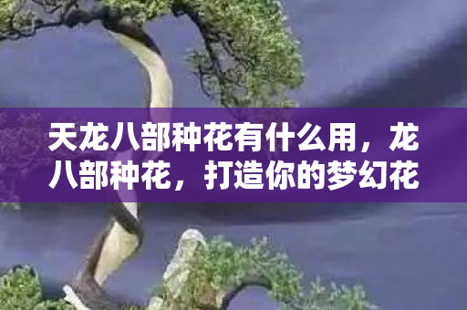 天龙八部种花有什么用,龙八部种花,打造你的梦幻花园 天龙八部种花有什么用,龙八部种花,打造你的梦幻花园