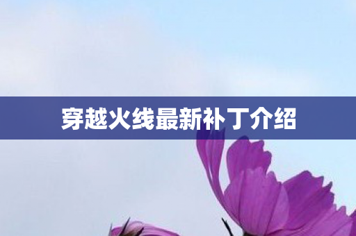 穿越火线最新补丁介绍 穿越火线最新补丁介绍