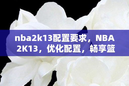 nba2k13配置要求,NBA 2K13,优化配置,畅享篮球盛宴 nba2k13配置要求,NBA 2K13,优化配置,畅享篮球盛宴
