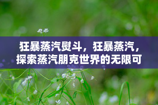 狂暴蒸汽熨斗，狂暴蒸汽，探索蒸汽朋克世界的无限可能
