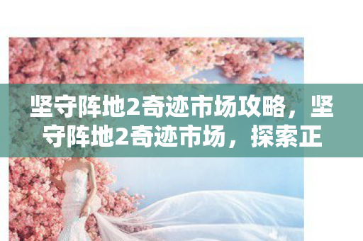 坚守阵地2奇迹市场攻略，坚守阵地2奇迹市场，探索正版游戏的魅力与机遇
