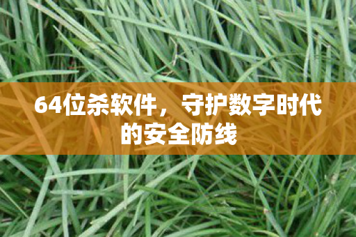 64位杀软件，守护数字时代的安全防线