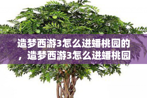造梦西游3怎么进蟠桃园的,造梦西游3怎么进蟠桃园 造梦西游3怎么进蟠桃园的,造梦西游3怎么进蟠桃园