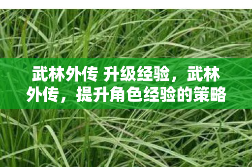 武林外传 升级经验,武林外传,提升角色经验的策略与技巧 武林外传 升级经验,武林外传,提升角色经验的策略与技巧