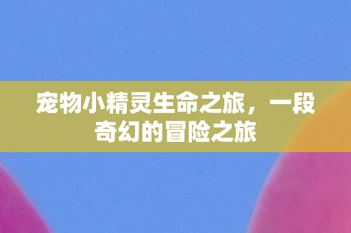 宠物小精灵生命之旅,一段奇幻的冒险之旅 宠物小精灵生命之旅,一段奇幻的冒险之旅