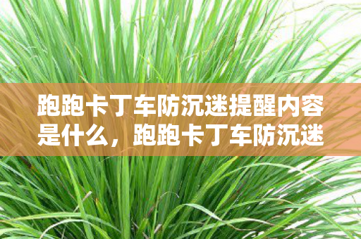 跑跑卡丁车防沉迷提醒内容是什么,跑跑卡丁车防沉迷,守护快乐,拒绝沉迷 跑跑卡丁车防沉迷提醒内容是什么,跑跑卡丁车防沉迷,守护快乐,拒绝沉迷