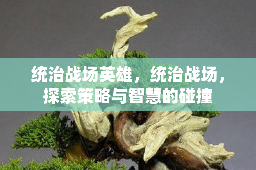统治战场英雄,统治战场,探索策略与智慧的碰撞 统治战场英雄,统治战场,探索策略与智慧的碰撞