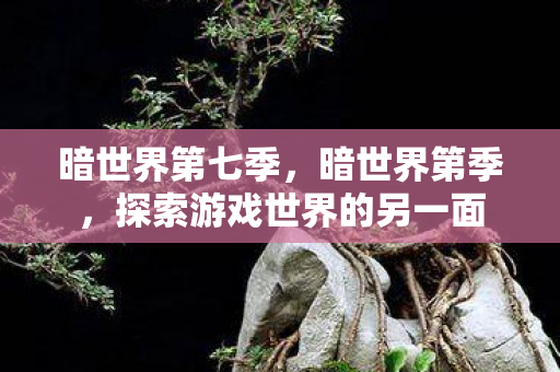 暗世界第七季,暗世界第季,探索游戏世界的另一面 暗世界第七季,暗世界第季,探索游戏世界的另一面