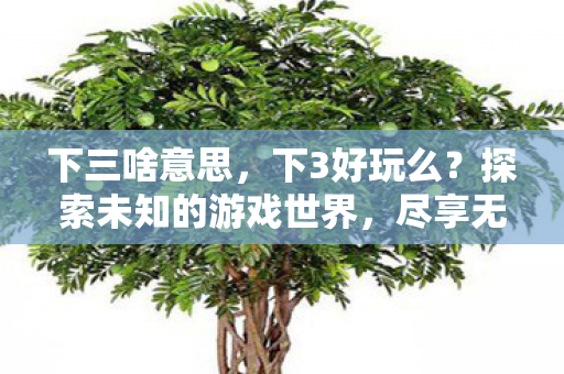 下三啥意思,下3好玩么?探索未知的游戏世界,尽享无限乐趣! 下三啥意思,下3好玩么?探索未知的游戏世界,尽享无限乐趣!