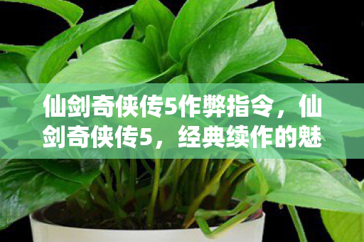 仙剑奇侠传5作弊指令，仙剑奇侠传5，经典续作的魅力与期待