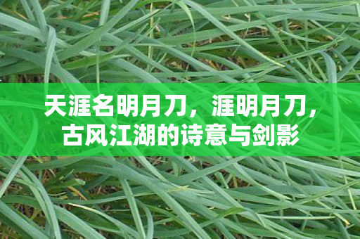 天涯名明月刀,涯明月刀,古风江湖的诗意与剑影 天涯名明月刀,涯明月刀,古风江湖的诗意与剑影