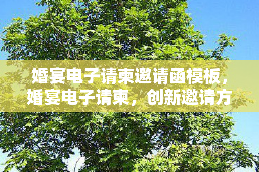 婚宴电子请柬邀请函模板,婚宴电子请柬,创新邀请方式,让婚礼更精彩 婚宴电子请柬邀请函模板,婚宴电子请柬,创新邀请方式,让婚礼更精彩