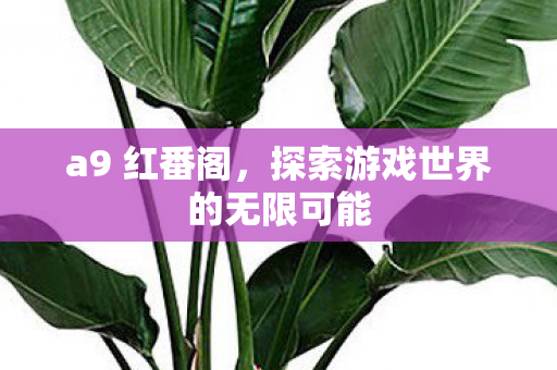 a9 红番阁,探索游戏世界的无限可能 a9 红番阁,探索游戏世界的无限可能