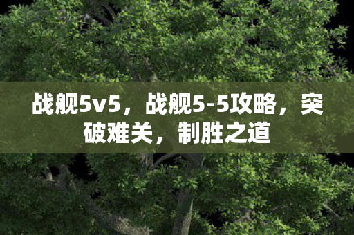 战舰5v5,战舰5-5攻略,突破难关,制胜之道 战舰5v5,战舰5-5攻略,突破难关,制胜之道
