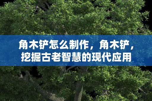 角木铲怎么制作，角木铲，挖掘古老智慧的现代应用
