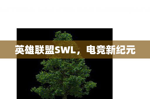英雄联盟SWL,电竞新纪元 英雄联盟SWL,电竞新纪元