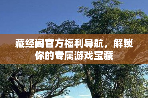 藏经阁官方福利导航,解锁你的专属游戏宝藏 藏经阁官方福利导航,解锁你的专属游戏宝藏
