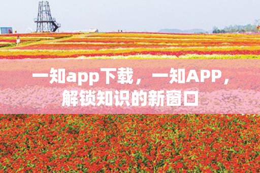 一知app下载，一知APP，解锁知识的新窗口