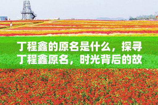 丁程鑫的原名是什么,探寻丁程鑫原名,时光背后的故事 丁程鑫的原名是什么,探寻丁程鑫原名,时光背后的故事