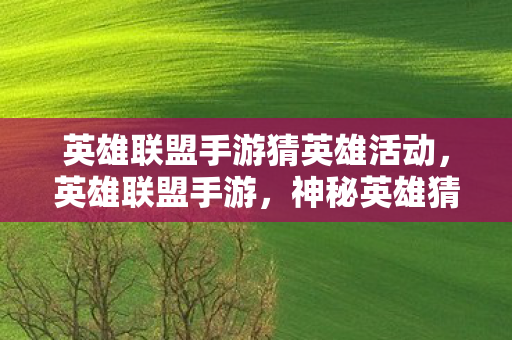 英雄联盟手游猜英雄活动,英雄联盟手游,神秘英雄猜想—暗影下的刺客 英雄联盟手游猜英雄活动,英雄联盟手游,神秘英雄猜想—暗影下的刺客
