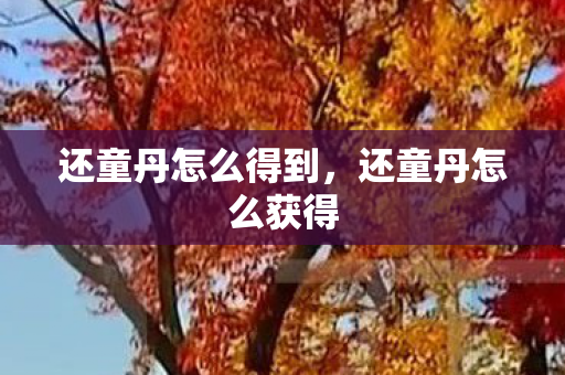 还童丹怎么得到，还童丹怎么获得