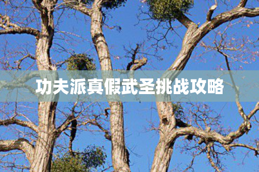 功夫派真假武圣挑战攻略 功夫派真假武圣挑战攻略