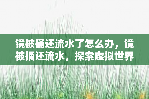 镜被捅还流水了怎么办,镜被捅还流水,探索虚拟世界的经济奇观 镜被捅还流水了怎么办,镜被捅还流水,探索虚拟世界的经济奇观