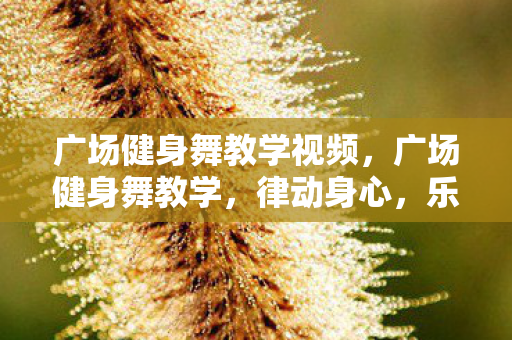 广场健身舞教学视频,广场健身舞教学,律动身心,乐享健康 广场健身舞教学视频,广场健身舞教学,律动身心,乐享健康