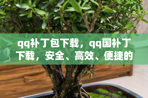 qq补丁包下载,qq国补丁下载,安全、高效、便捷的游戏体验 qq补丁包下载,qq国补丁下载,安全、高效、便捷的游戏体验