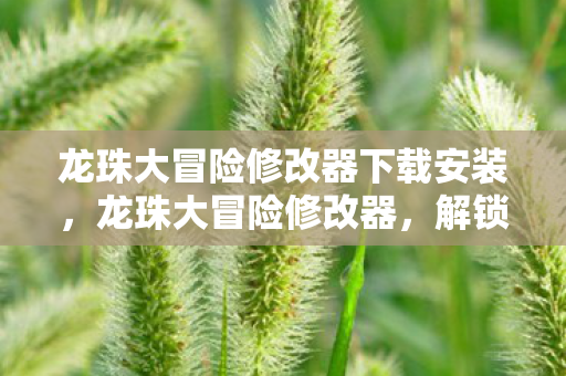 龙珠大冒险修改器下载安装,龙珠大冒险修改器,解锁无限可能的冒险之旅 龙珠大冒险修改器下载安装,龙珠大冒险修改器,解锁无限可能的冒险之旅