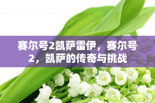 赛尔号2凯萨雷伊,赛尔号2,凯萨的传奇与挑战 赛尔号2凯萨雷伊,赛尔号2,凯萨的传奇与挑战