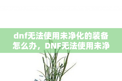 dnf无法使用未净化的装备怎么办,DNF无法使用未净化的装备,揭秘装备净化的奥秘与重要性 dnf无法使用未净化的装备怎么办,DNF无法使用未净化的装备,揭秘装备净化的奥秘与重要性