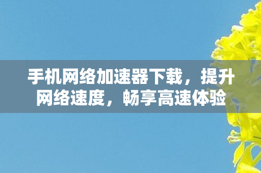 手机网络加速器下载,提升网络速度,畅享高速体验 手机网络加速器下载,提升网络速度,畅享高速体验