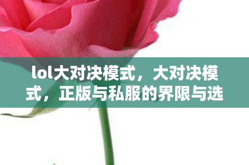 lol大对决模式，大对决模式，正版与私服的界限与选择