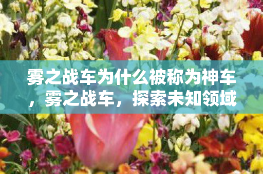 雾之战车为什么被称为神车,雾之战车,探索未知领域的奇幻之旅 雾之战车为什么被称为神车,雾之战车,探索未知领域的奇幻之旅