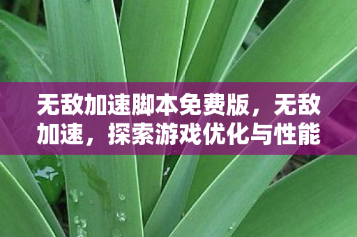 无敌加速脚本免费版,无敌加速,探索游戏优化与性能提升的奥秘 无敌加速脚本免费版,无敌加速,探索游戏优化与性能提升的奥秘