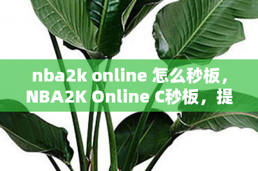 nba2k online 怎么秒板,NBA2K Online C秒板,提升游戏技巧与体验的关键 nba2k online 怎么秒板,NBA2K Online C秒板,提升游戏技巧与体验的关键