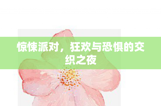 惊悚派对,狂欢与恐惧的交织之夜 惊悚派对,狂欢与恐惧的交织之夜