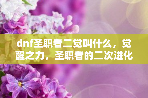 dnf圣职者二觉叫什么,觉醒之力,圣职者的二次进化 dnf圣职者二觉叫什么,觉醒之力,圣职者的二次进化