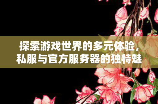 探索游戏世界的多元体验,私服与官方服务器的独特魅力 探索游戏世界的多元体验,私服与官方服务器的独特魅力