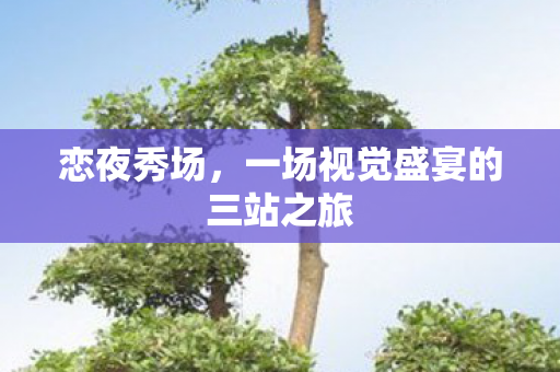 恋夜秀场，一场视觉盛宴的三站之旅