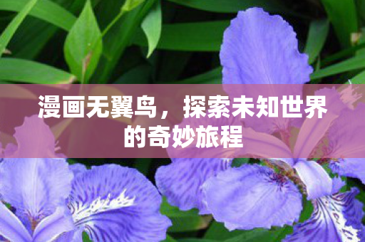 漫画无翼鸟,探索未知世界的奇妙旅程 漫画无翼鸟,探索未知世界的奇妙旅程